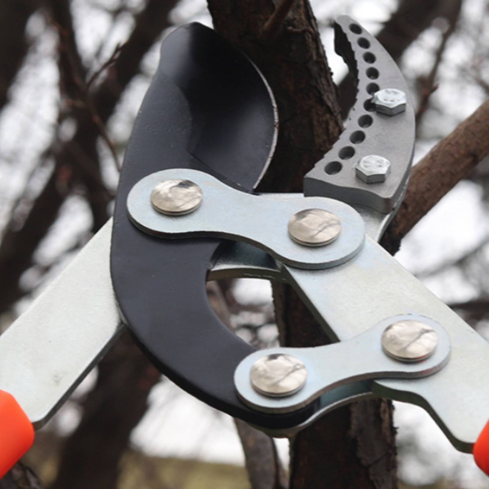 Telescopic Branch Pruners Shar - Garden Tools ulasan dan harga